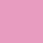 258 Begonia Pink